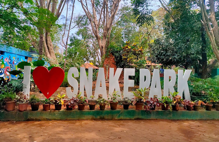 Parassinikkadavu Parassinikkadavu